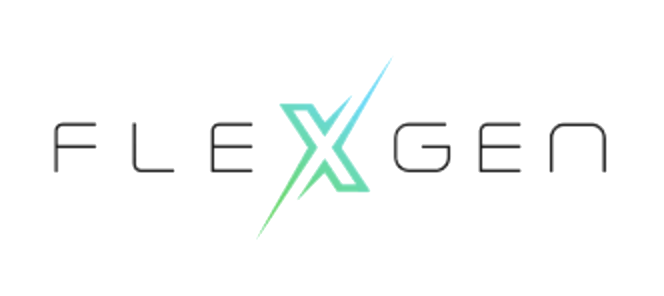 FlexGen